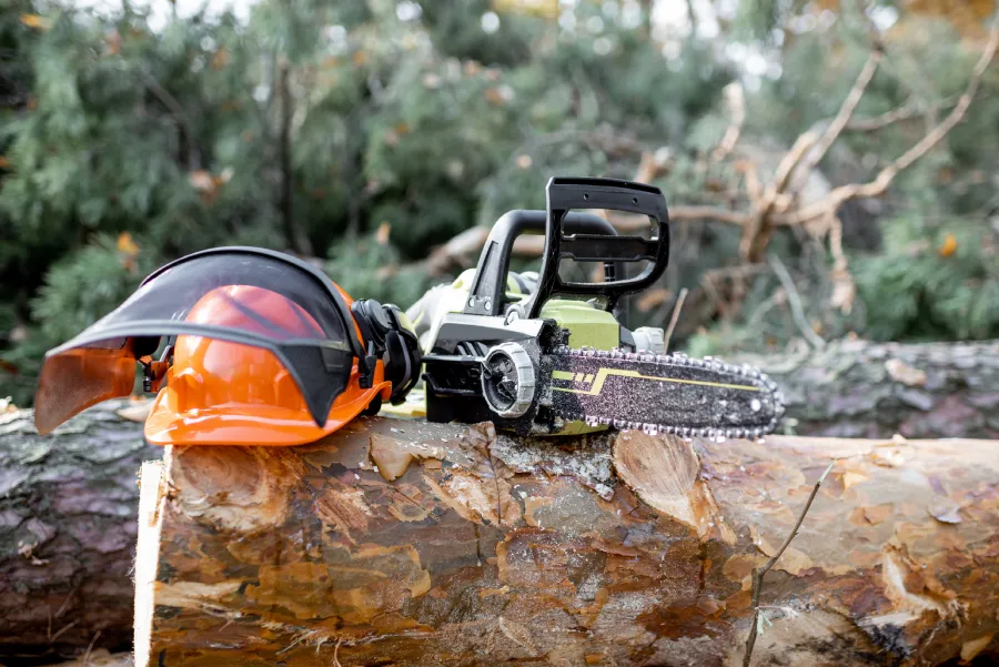 Professional Tree Company in Calgary, AB Professional Tree Company in Calgary, AB